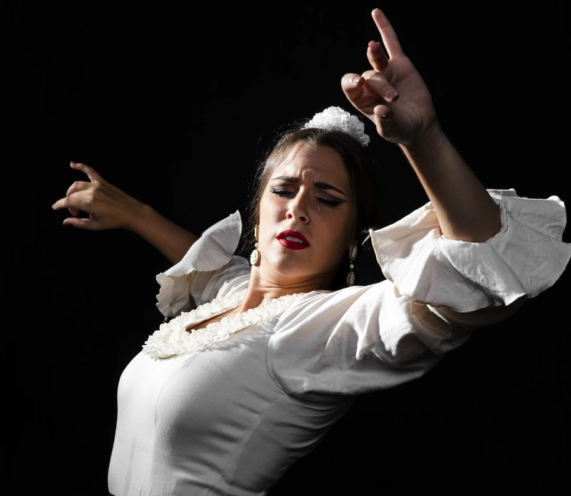 Lenguaje del Flamenco